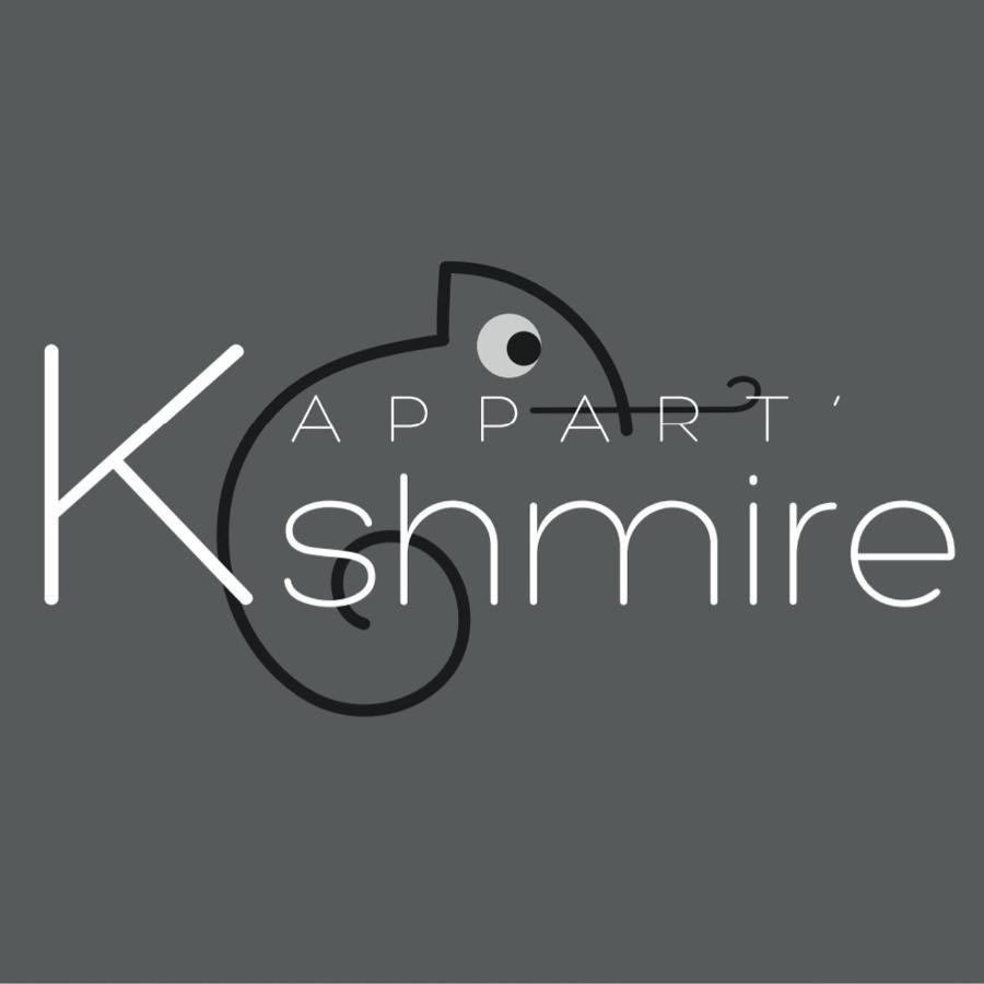 L'Appart K-Shmire- Cosy Et Spacieux, 4 Pers Λε Μανς Εξωτερικό φωτογραφία